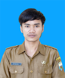 Mas Budi Saputra
