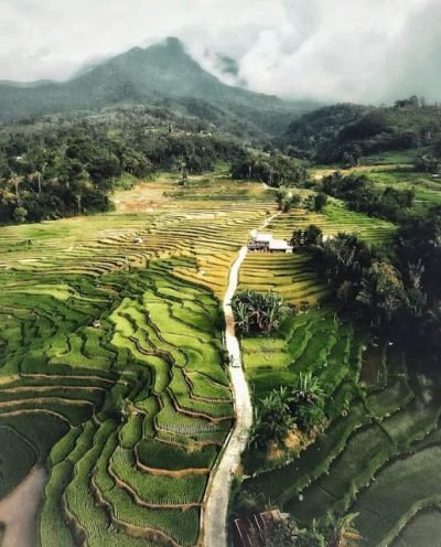 Kami Siap Berkolaborasi Menuju Desa Cerdas